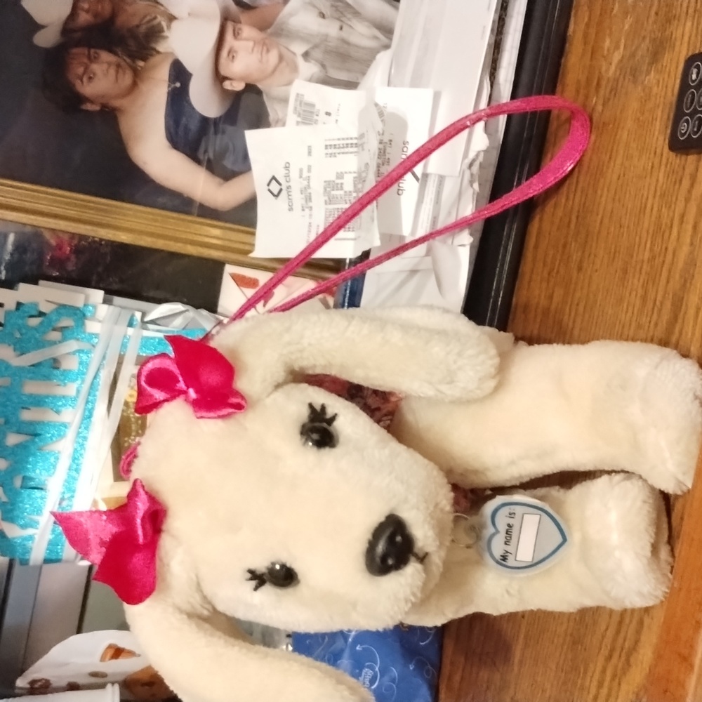 A dog mini bag